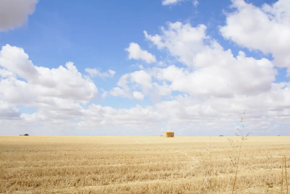 Campos de Castilla, y León, imgn023