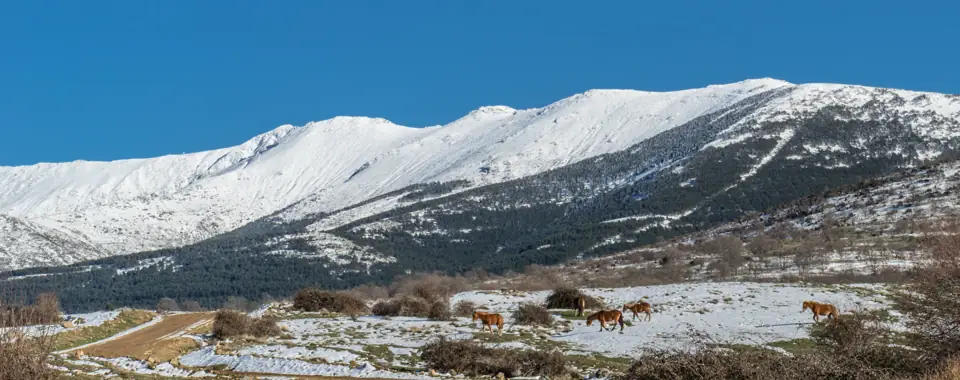Unnamed2 - panoramio (4360)