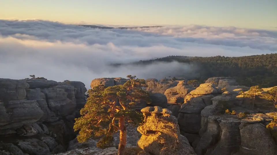 Roquedo de Castroviejo, en Duruelo de la Sierra (Soria), en le límite de la niebla