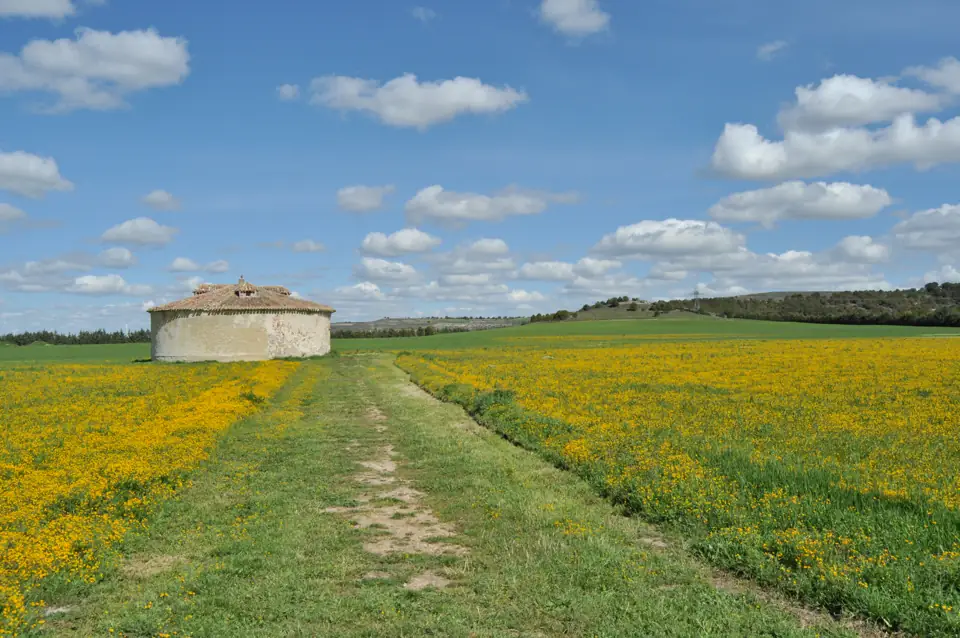 Villalba de los Alcores - 027 (40039285830)