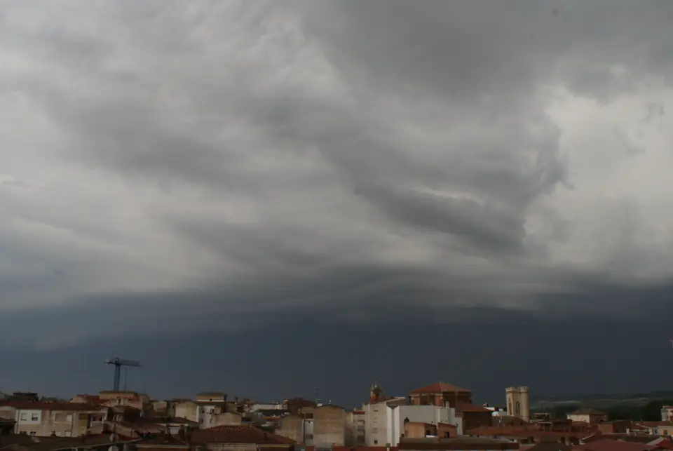Arcus palencia