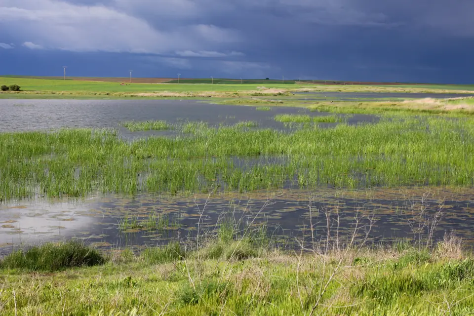 Laguna de San Pedro Villarrín de Campos