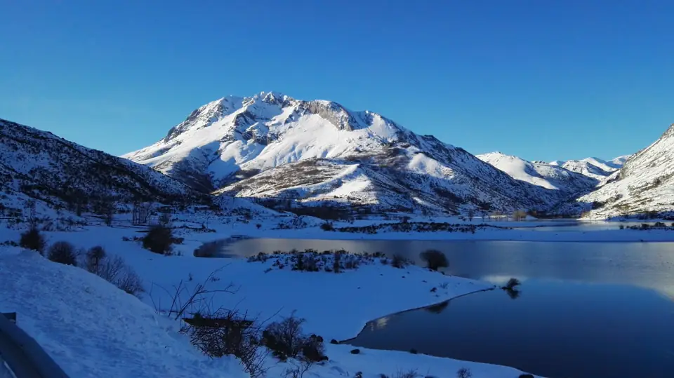 Espigüete bajo la nieve
