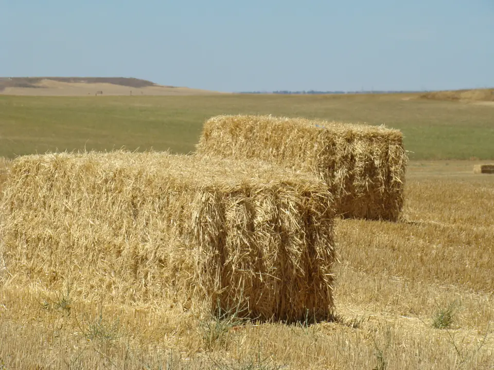 Montealegre pacas de paja ni