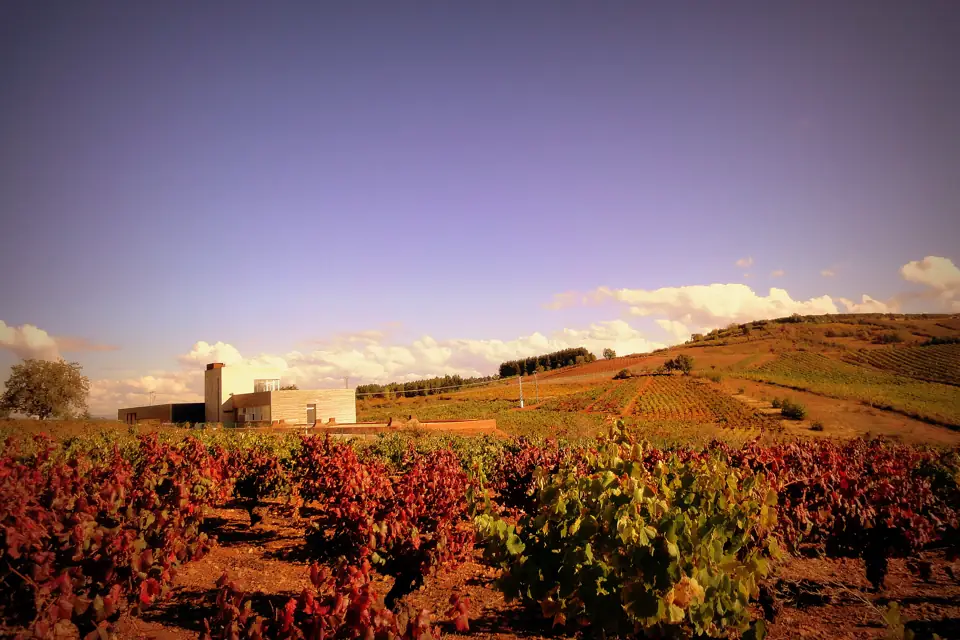 Bodega Losada Vinos de Finca