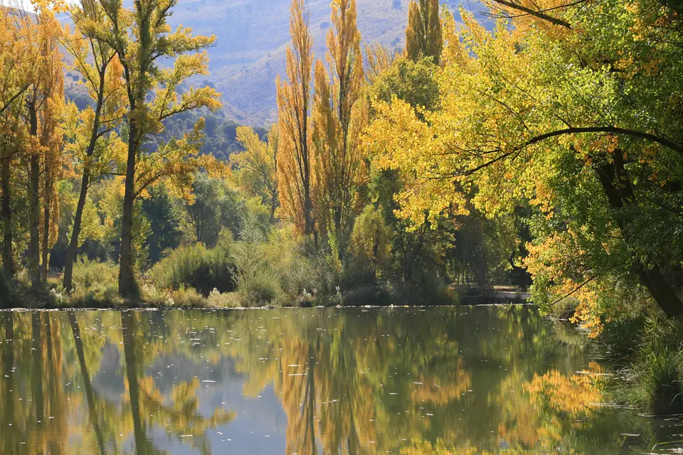 Rio Duero.Soria. (6263355925)