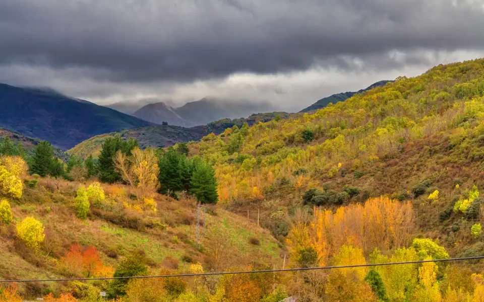 Tarde de lluvia en la Tebaida Berciana (49025201457)