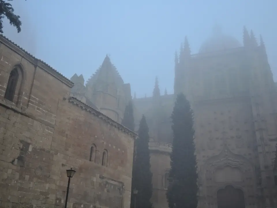 Niebla DSCN4967 (34780471521)