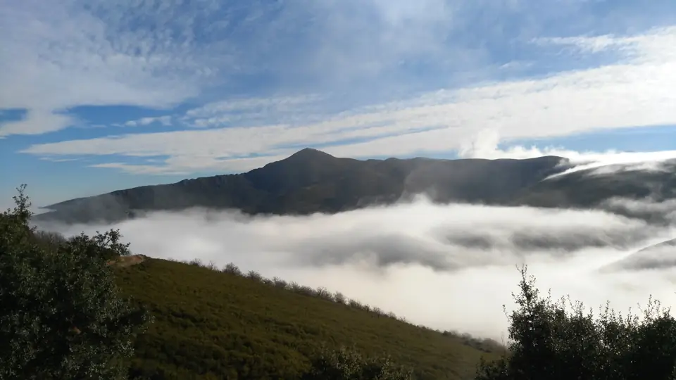 Cabrera medulas niebla